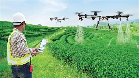 ts nong mo|Ứng dụng công nghệ AI trong nâng cao năng suất nông nghiệp.